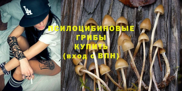прущая мука Дмитров