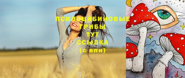 прущая мука Дмитров
